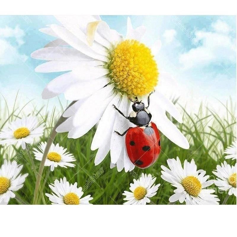 Ladybugs & Flowe...