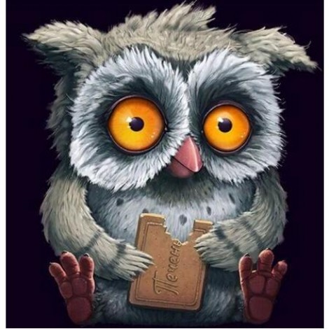 Cute Hungry Owl 5D DIY Paint By Diamond Kit