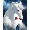 White Horse and Rose 5D DIY Diamond Painting