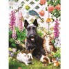 Dog Cat Rabbit 5D DIY Paint By Diamond Kit