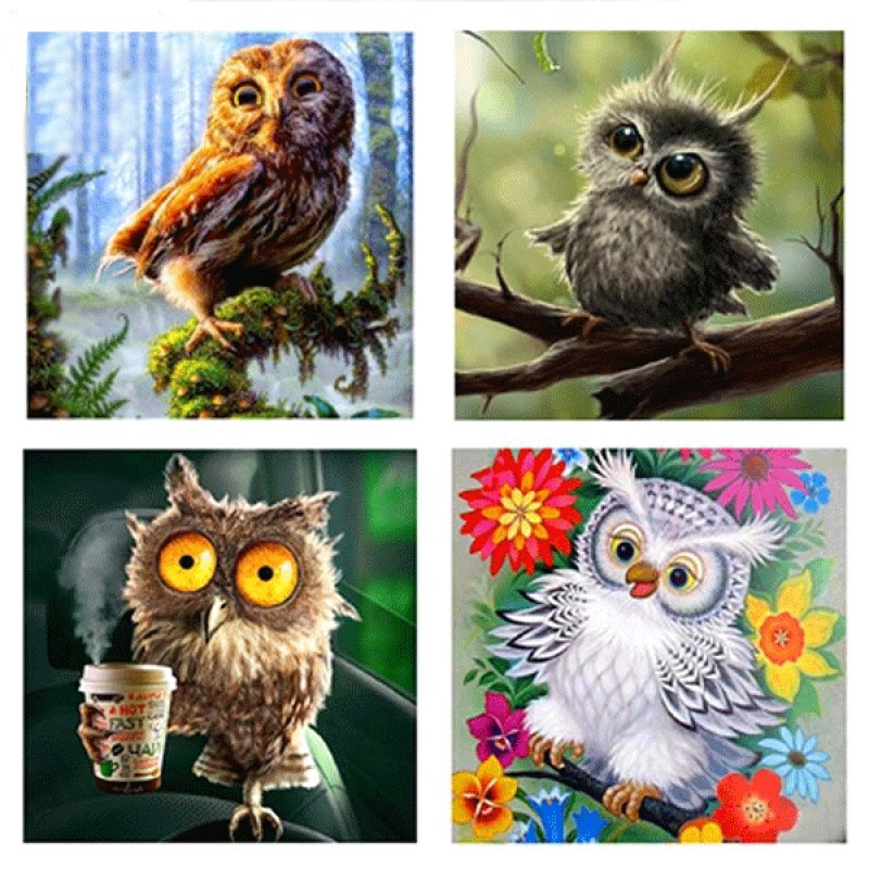 Owl Collection 5D DI...