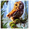 Owl Collection 5D DIY Paint By Diamond Kit