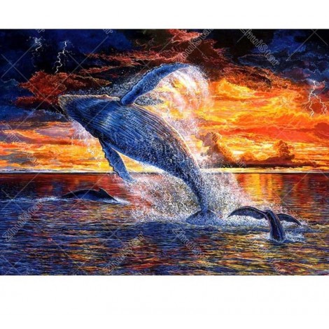 Jumping Whale 5D DIY Paint By Diamond Kit