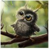 Owl Collection 5D DIY Paint By Diamond Kit