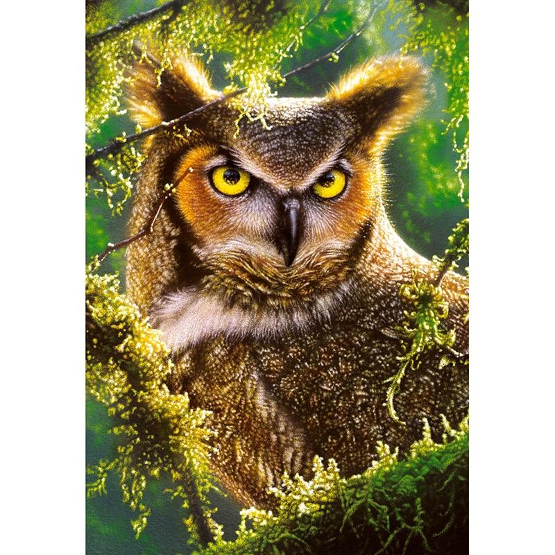 Woodland Owl 5D DIY ...