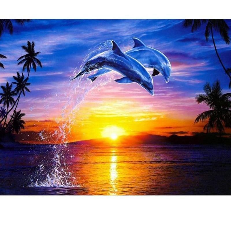 Sunset & Dolphin...