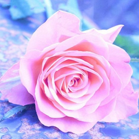 Pink Roses 5D DIY Paint By Diamond Kit