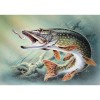 Fighter Fish 5D DIY Paint By Diamond Kit