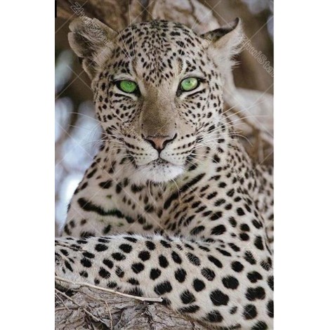 Green Eye Leopard 5D DIY Paint By Diamond Kit