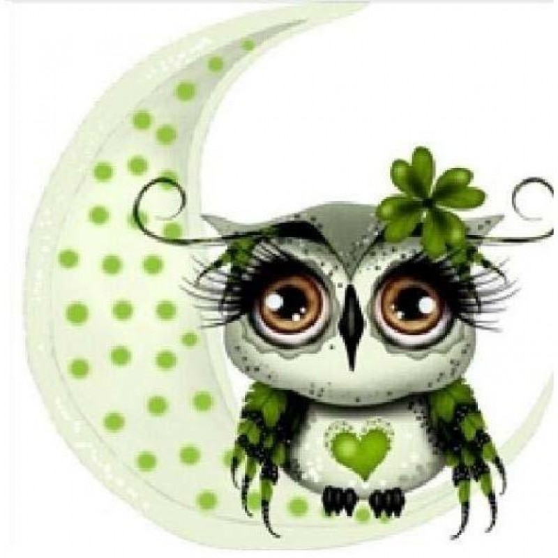 Green Owl And The Mo...