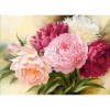 Peony Multicolour Flowers 5D DIY Paint By Diamond Kit