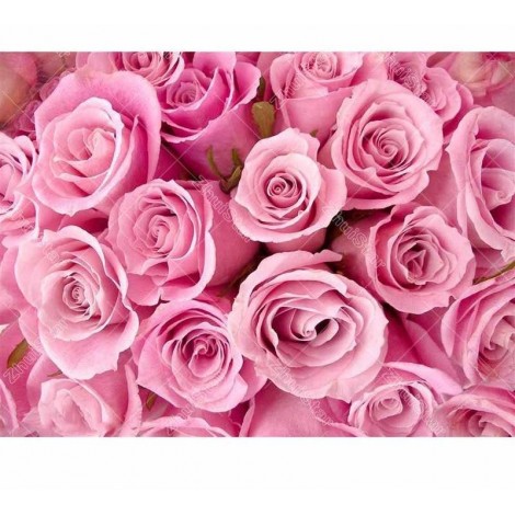 Pink Roses 5D DIY Paint By Diamond Kit