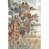 Giraffe Life 5D DIY Paint By Diamond Kit