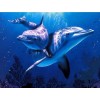 Dolphin Family 5D DIY Paint By Diamond Kit