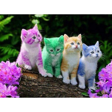 Rainbow Kittens 5D DIY Paint By Diamond Kit