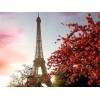 Eiffel Tower 5D DIY Paint By Diamond Kit