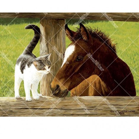 Horse & Cat 5D DIY Paint By Diamond Kit