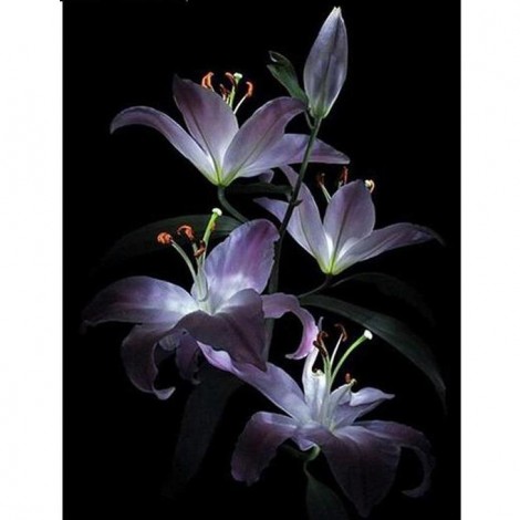 Purple Lily 5D DIY Paint By Diamond Kit