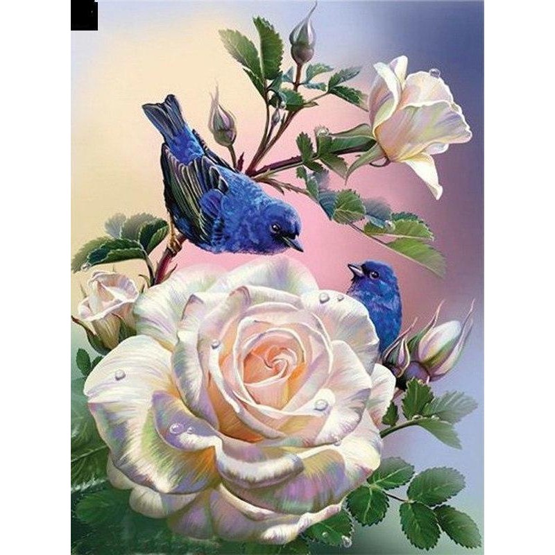 White Rose And Blue Bird ...