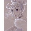 Princess Of Home Decor 5D DIY Paint By Diamond Kit