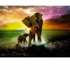 Cute Elephants 5D DIY Paint By Diamond Kit