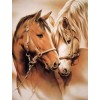 Horse Lovers 5D DIY Paint By Diamond Kit