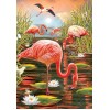 Flamingo In The Pool 5D DIY Paint By Diamond Kit