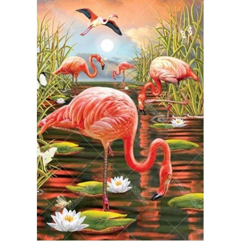 Flamingo In The Pool 5D DIY Paint By Diamond Kit