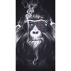 Cool Monkey 5D DIY Diamond Painting