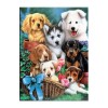 Dogs Rhinestone 5D DIY Paint By Diamond Kit