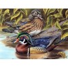 Duck 5D DIY Paint By Diamond Kit