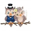 Couple of Loveable Owls 5D DIY Paint By Diamond Kit