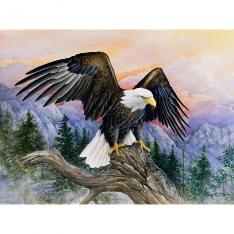 Flying Eagle 5D DIY Paint By Diamond Kit