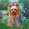 Cute Puppy 5D DIY Paint By Diamond Kit