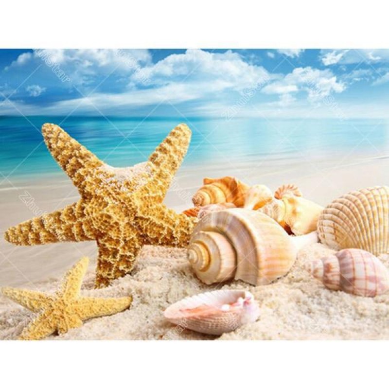 Starfish & Sea 5...