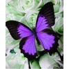 Purple Butterflies 5D DIY Paint By Diamond Kit