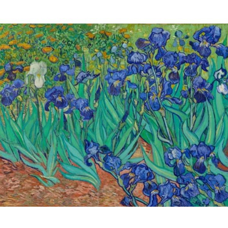 Irises - Vincent Van...