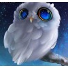 Owl In The Night Sky 5D DIY Paint By Diamond Kit