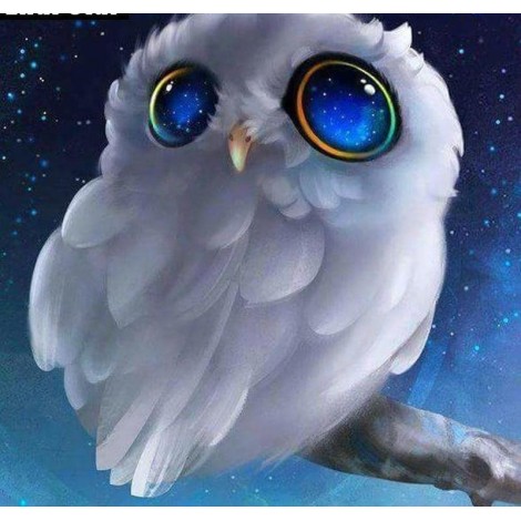 Owl In The Night Sky 5D DIY Paint By Diamond Kit