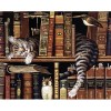 Cat in the Bookshelf 5D DIY Diamond Painting