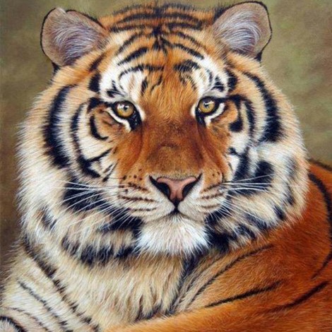 Jungle Tiger 5D DIY Paint By Diamond Kit