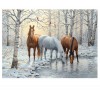 Horses 5D DIY Paint By Diamond Kit