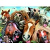 The Horse Family 5D DIY Paint By Diamond Kit