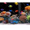 Colorful Fish 5D DIY Paint By Diamond Kit