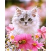 Cute Cat 5D DIY Paint By Diamond Kit