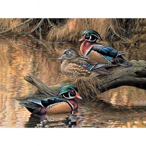 Colorful Ducks 5D DIY Paint By Diamond Kit