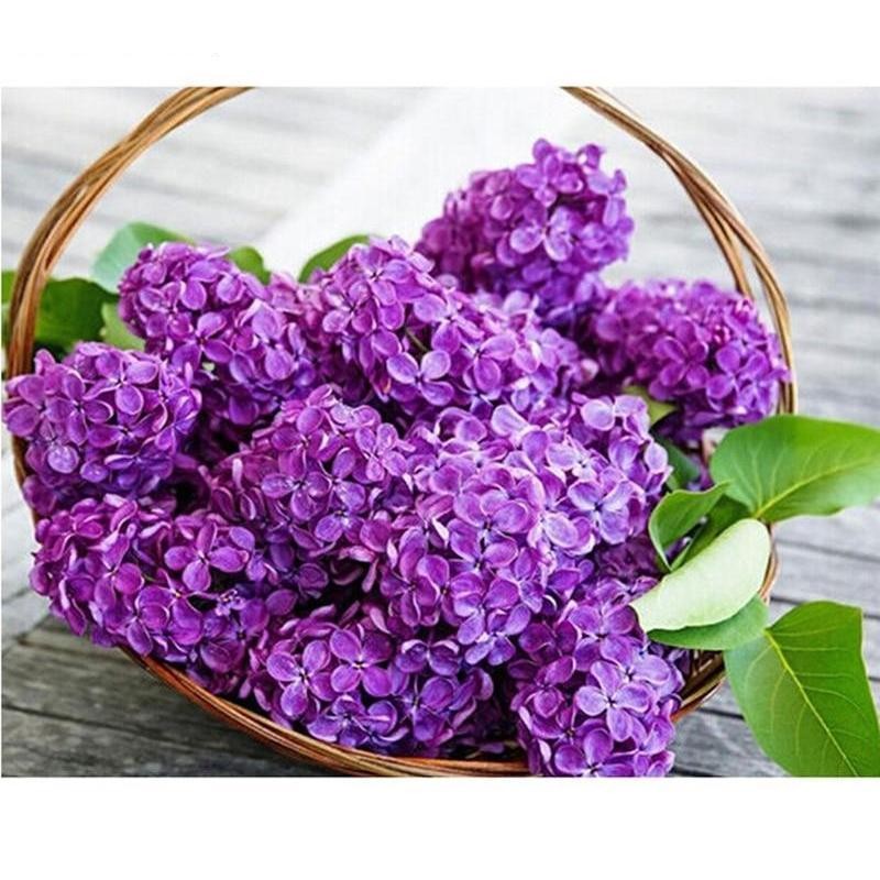 Lilac Flower 5D DIY ...