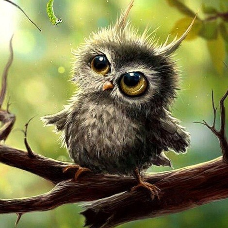 Cute Baby Owl 5D DIY Paint By Diamond Kit