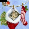 Christmas Kitten 5D DIY Paint By Diamond Kit