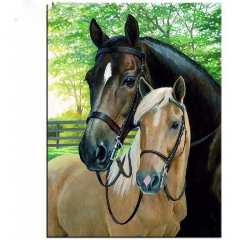 Horse Couple 5D DIY Paint By Diamond Kit